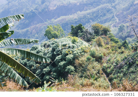 Mountain view of Bandarban, Bangladesh. Nature. 106327331