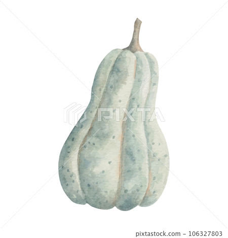 Autumn botanical pumpkin.Natural product for autumn holidays. Farm organic vegetables. Watercolor illustration. Hand drawn isolated art Autumn botanical pumpkin.Natural product for autumn holidays. Farm organic vegetables. Watercolor illustration. Hand drawn isolated art 106327803