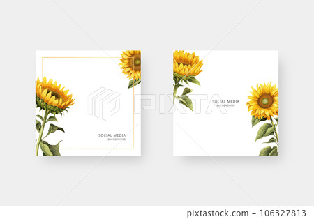 Minimalist social media background with watercolor botanical. Trendy editable social media post template. Vector illustration. Minimalist social media background with watercolor botanical. Trendy editable social media post template. Vector illustration. 106327813