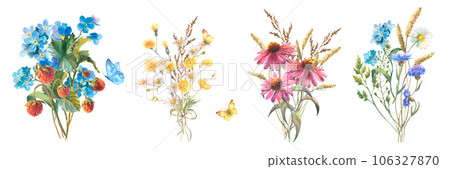 Watercolor botanical illustration, set of bouquets wild flowers with blue Cornflower herb, poppy, echinacea, chamomile and with butterflies, isolated on white background. 106327870
