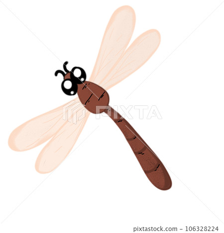 Dragonfly sketches  106328224
