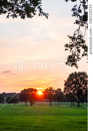 Golden Horizon: Vibrant Sunset Over Rural Treetops 106328553