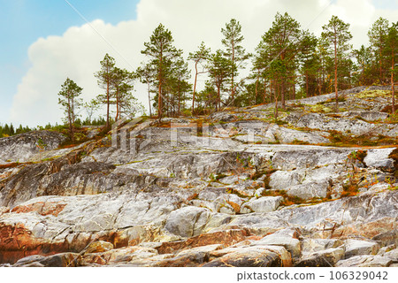 Nordic Autumn landscape  with mountainous coast of the island and pine forest 106329042