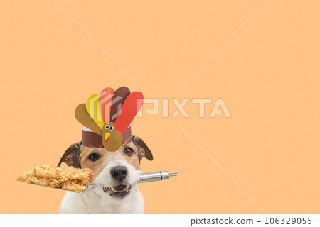 Fun Thanksgiving background with dog holding piece of holiday apple pie on spatula. 106329055