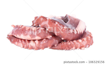 Squid tentacles isolated on white background. Fresh raw gigant squid. 106329156