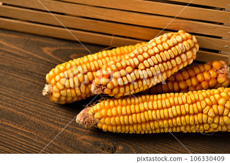 wooden box full of potatoes and corn cobs on dark wooden background wooden box full of potatoes and corn cobs on dark wooden background 106330409