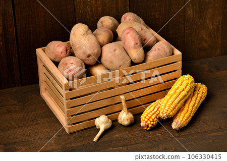 wooden box full of potatoes, garlic bulbs and corn cobs on dark wooden background wooden box full of potatoes, garlic bulbs and corn cobs on dark wooden background 106330415