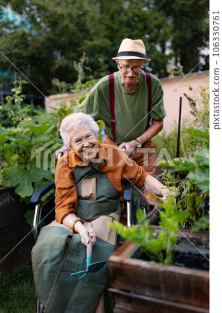 Portrait of senior couple taking care of vegetable plants in urban garden. 106330761