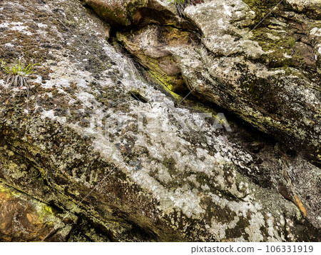 Ancient mossy rock texture background 106331919