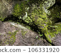 Big mossy rock texture background Big mossy rock texture background 106331920