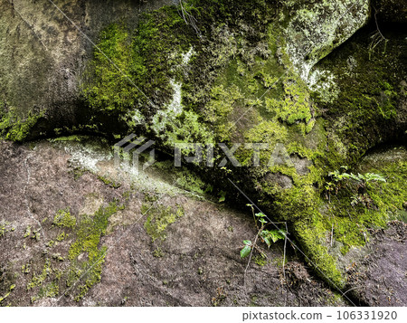 Big mossy rock texture background 106331920