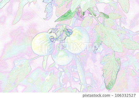 柔和風格“三個西紅柿”插圖圖像 106332527