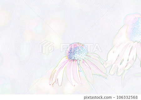 柔和風格“紫錐菊”插圖圖像 106332568