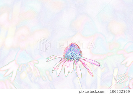 柔和風格“紫錐菊”插圖圖像 106332569