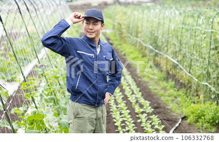 Farmer growing vegetables Farmer growing vegetables 106332768