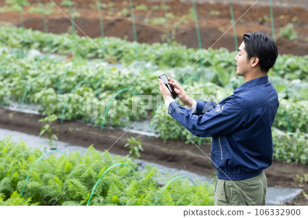 Farmer growing vegetables Farmer growing vegetables 106332900