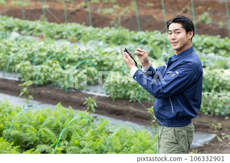 Farmer growing vegetables Farmer growing vegetables 106332901