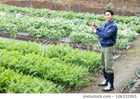 Farmer growing vegetables 106332905
