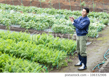 農民種植蔬菜 106332906