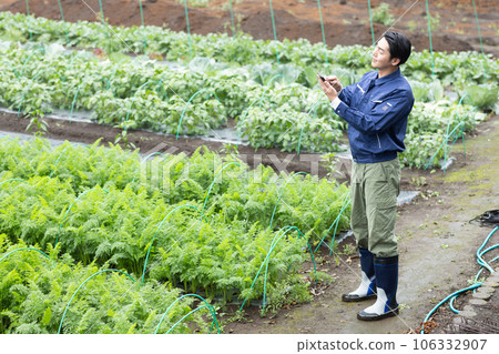 農民種植蔬菜 106332907