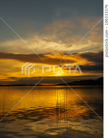 A tranquil dawn by the lake 106333376