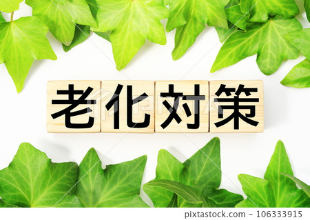 老齡化對策與福利、護理相關的關鍵詞材料 老齡化對策與福利、護理相關的關鍵詞材料 106333915