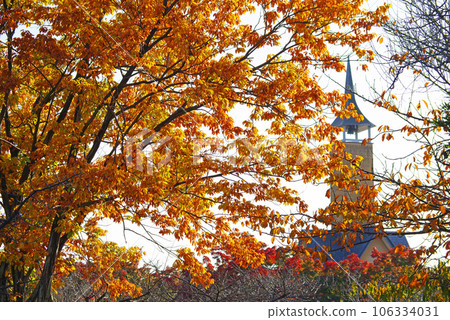 Autumn "Nabana no Sato" [Landscape/seasonal material] 106334031