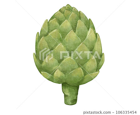 artichoke watercolor illustration isolated element 106335454