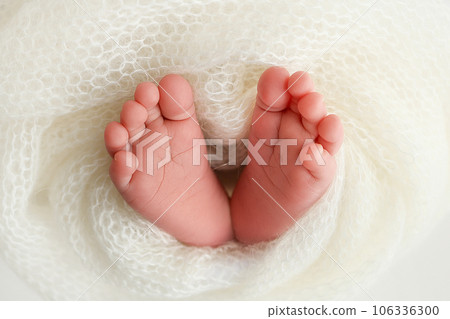 The tiny foot of a newborn baby. Soft feet of a new born in a white wool blanket. Close up of toes, heels and feet of a newborn. Knitted white heart in the legs of a baby. Macro photography. 106336300