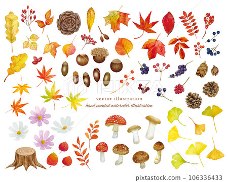 Autumn fallen leaves cartoon set 106336433