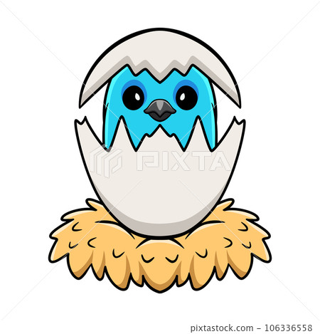 Cute spangled cotinga bird cartoon inside from egg 106336558