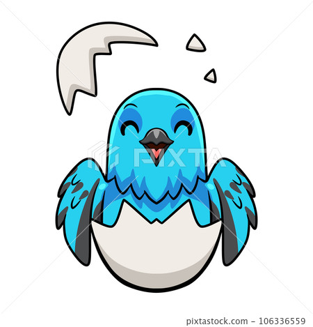 Cute spangled cotinga bird cartoon inside from egg 106336559