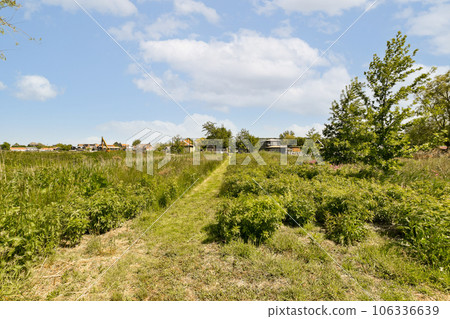 a field with some trees and buildings in the distance, under a bright blue sky filled with white fluffy clouds a field with some trees and buildings in the distance, under a bright blue sky filled with white fluffy clouds 106336639