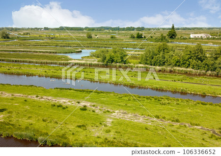 a river in the middle of a grassy area with trees and bushes on both sides, surrounded by green grass a river in the middle of a grassy area with trees and bushes on both sides, surrounded by green grass 106336652
