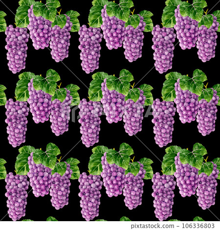 Grape (Delaware) seamless pattern hand-drawn watercolor illustration fruit pattern Grape (Delaware) seamless pattern hand-drawn watercolor illustration fruit pattern 106336803