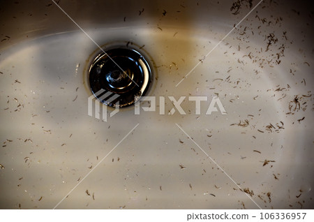 Small pieces of hair left in a bathroom sink after a man finished shaving in the morning Small pieces of hair left in a bathroom sink after a man finished shaving in the morning 106336957