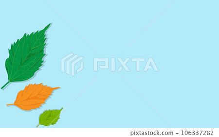 Three color leaf and blank pastel color background for your text , picture , copy space and other Three color leaf and blank pastel color background for your text , picture , copy space and other 106337282
