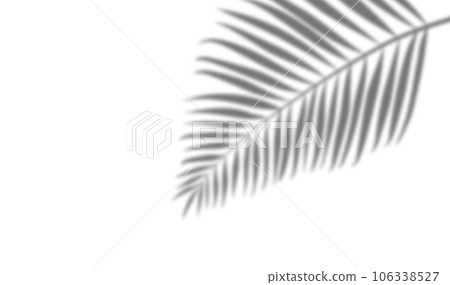 Easy-to-use leaf shadows on a transparent background Easy-to-use leaf shadows on a transparent background 106338527
