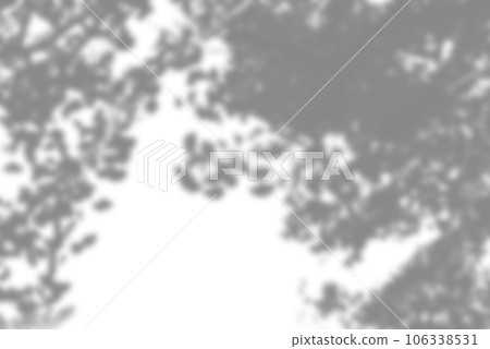 透明背景上易於使用的葉子陰影 透明背景上易於使用的葉子陰影 106338531