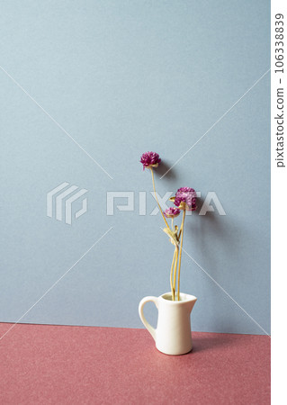Home interior. White vase of purple dry flower on red table. gray wall background Home interior. White vase of purple dry flower on red table. gray wall background 106338839