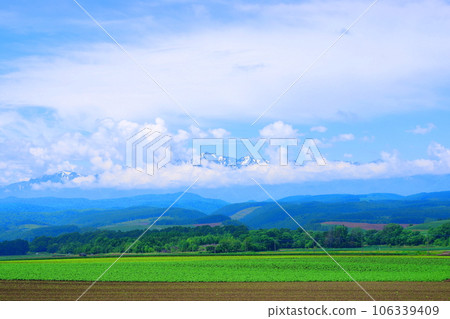 Spectacular scenery of Furano, Hokkaido / Furano City Spectacular scenery of Furano, Hokkaido / Furano City 106339409