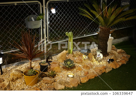 美國房屋乾燥花園 美國房屋乾燥花園 106339647