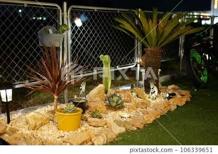 美國房屋乾燥花園 美國房屋乾燥花園 106339651