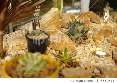 美國房屋乾燥花園 美國房屋乾燥花園 106339654