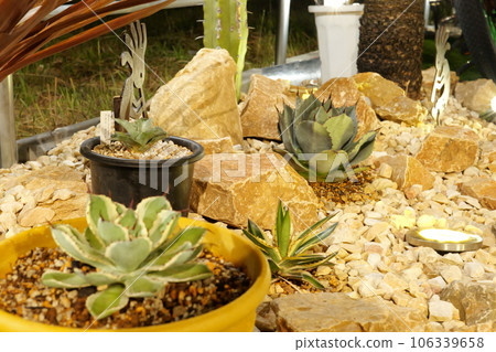 美國房屋乾燥花園 106339658