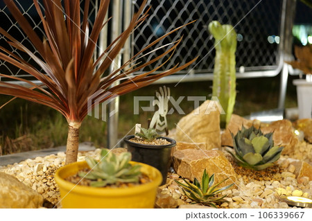 美國房屋乾燥花園 美國房屋乾燥花園 106339667