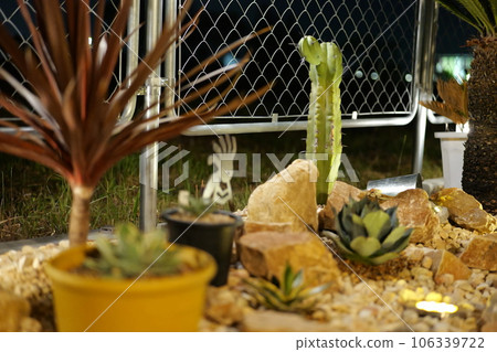 American house dry garden American house dry garden 106339722