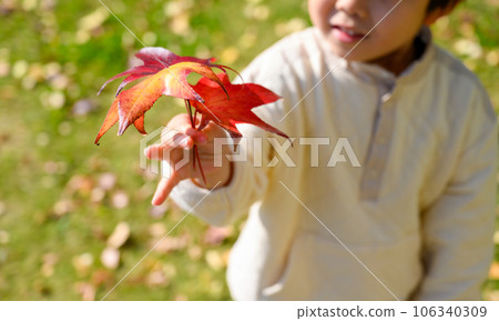 秋天的樹葉和男孩 106340309