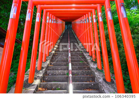 [千本鳥居]稻荷神社[佐久市臼田] 106340395