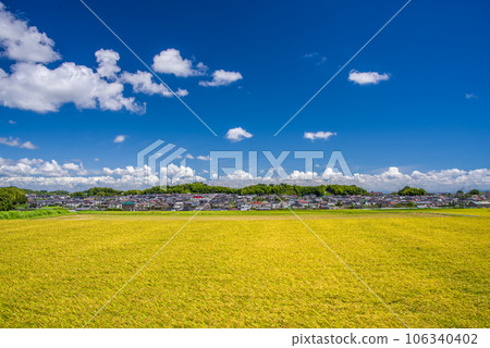 Rural landscape under the blue sky Rural landscape under the blue sky 106340402